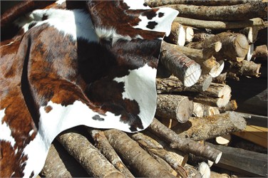 Peau de Vache Normande véritable
